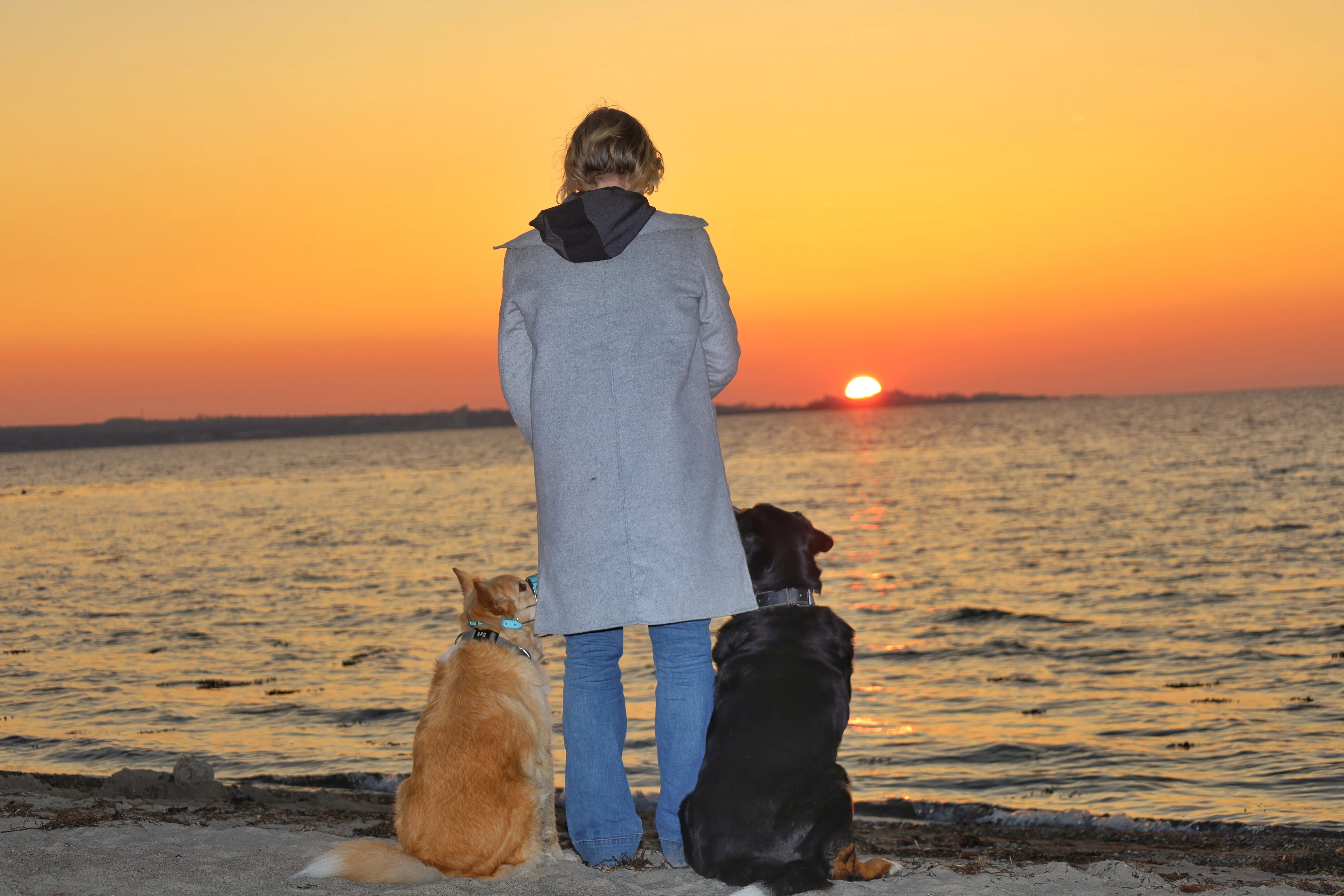 Bianka steht mit ihren beiden Hunden am Ostseestrand und blickt in den Sonnenuntergang